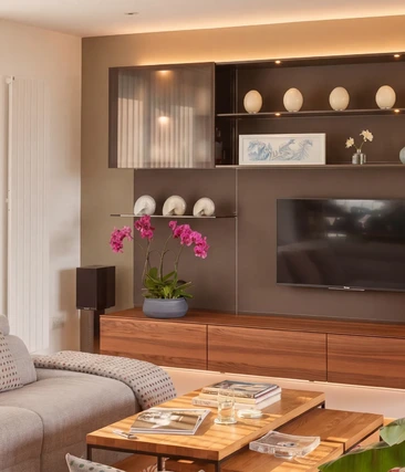 Contemporary TV and Media wall display
