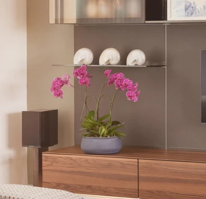 Rimadesio Abacus