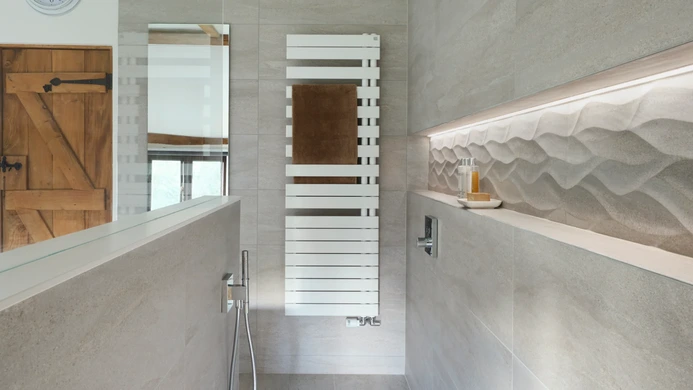 Contemporary shower enclosure with recessed storage niche