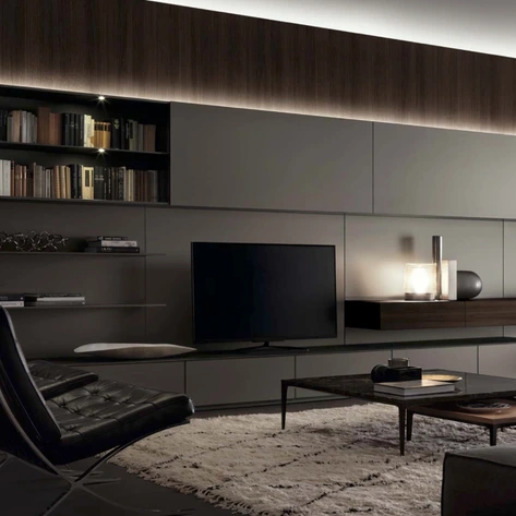 Rimadesio Abacus Living wall system with integrated media storage and shelving