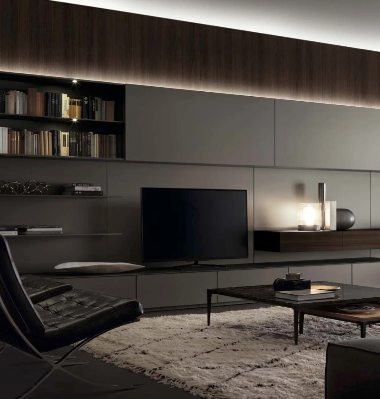 Rimadesio Abacus Living wall system with integrated media storage and shelving