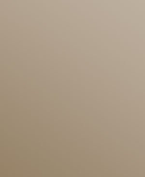 Sand Beige Aluminium