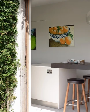 Narrow Kitchen Renovation With Garden Views 7