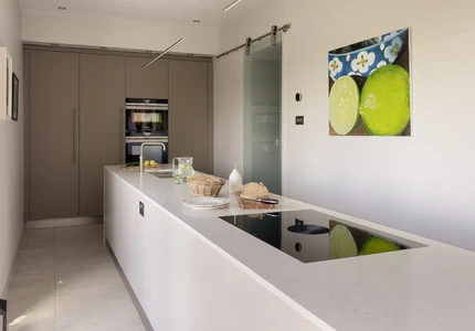 Narrow Kitchen Renovation With Garden Views 16